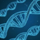 is scoliosis hereditary
